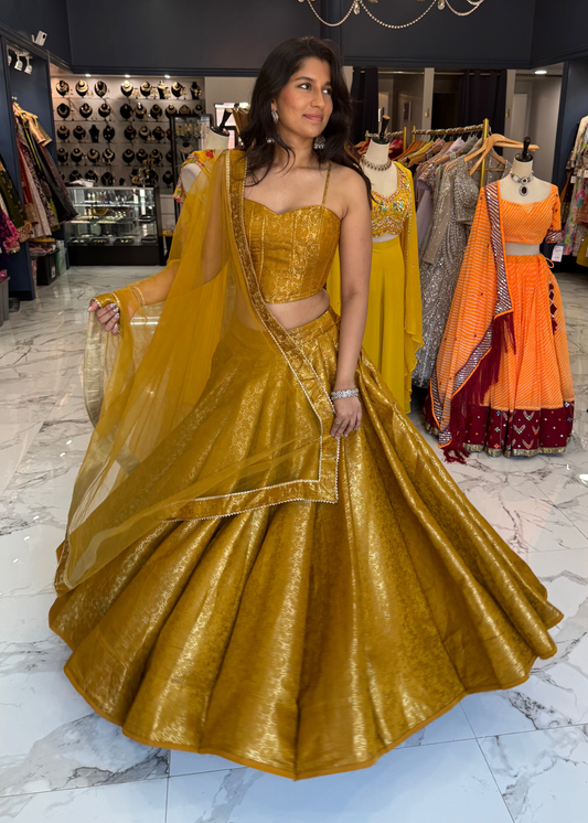 Aleena Lehenga
