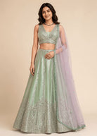 Karvi Mint Mirror work Lehenga